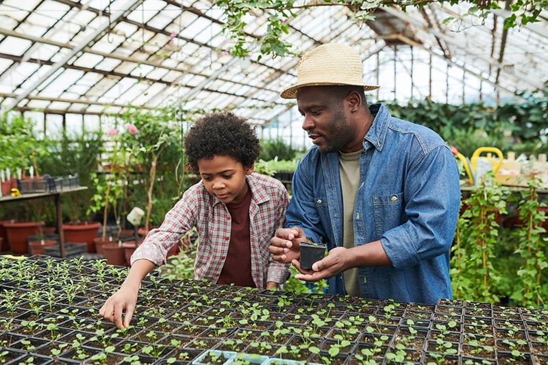 Two people working together in a green house