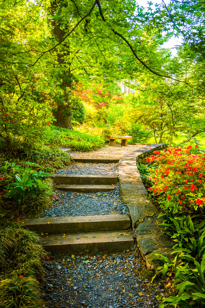 Path through a colorful garden at the National Arboretum in Washington, DC.