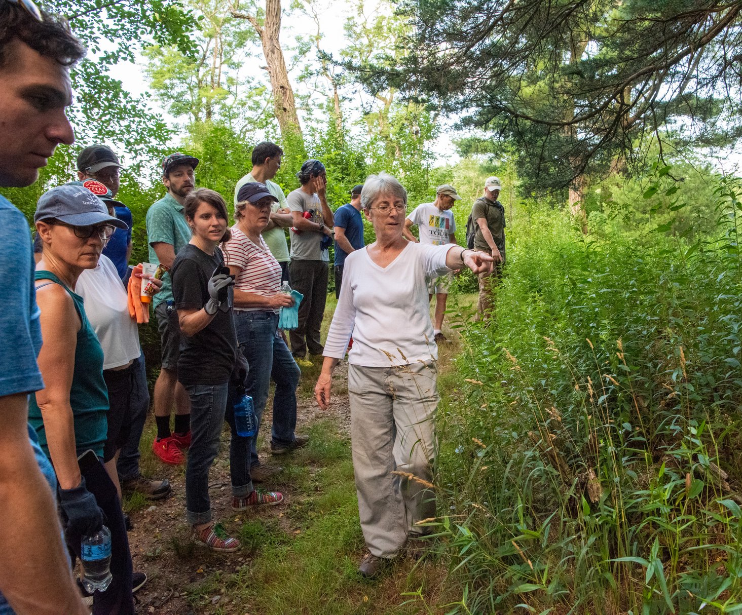 Serving as a team with the Simsbury Land Trust