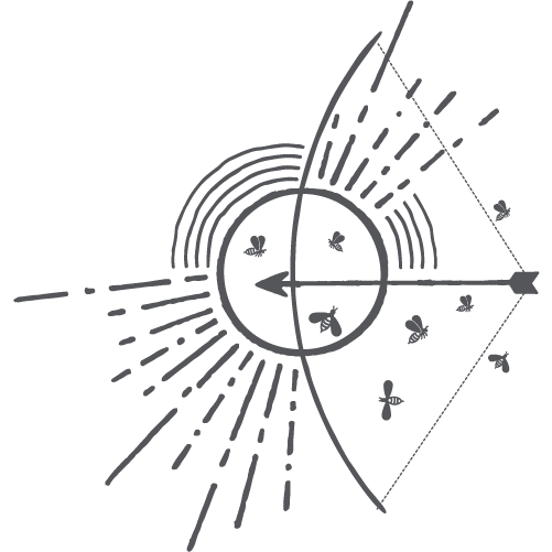 Symbol of ZSuite's values